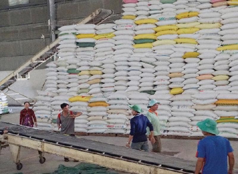 Latest export news